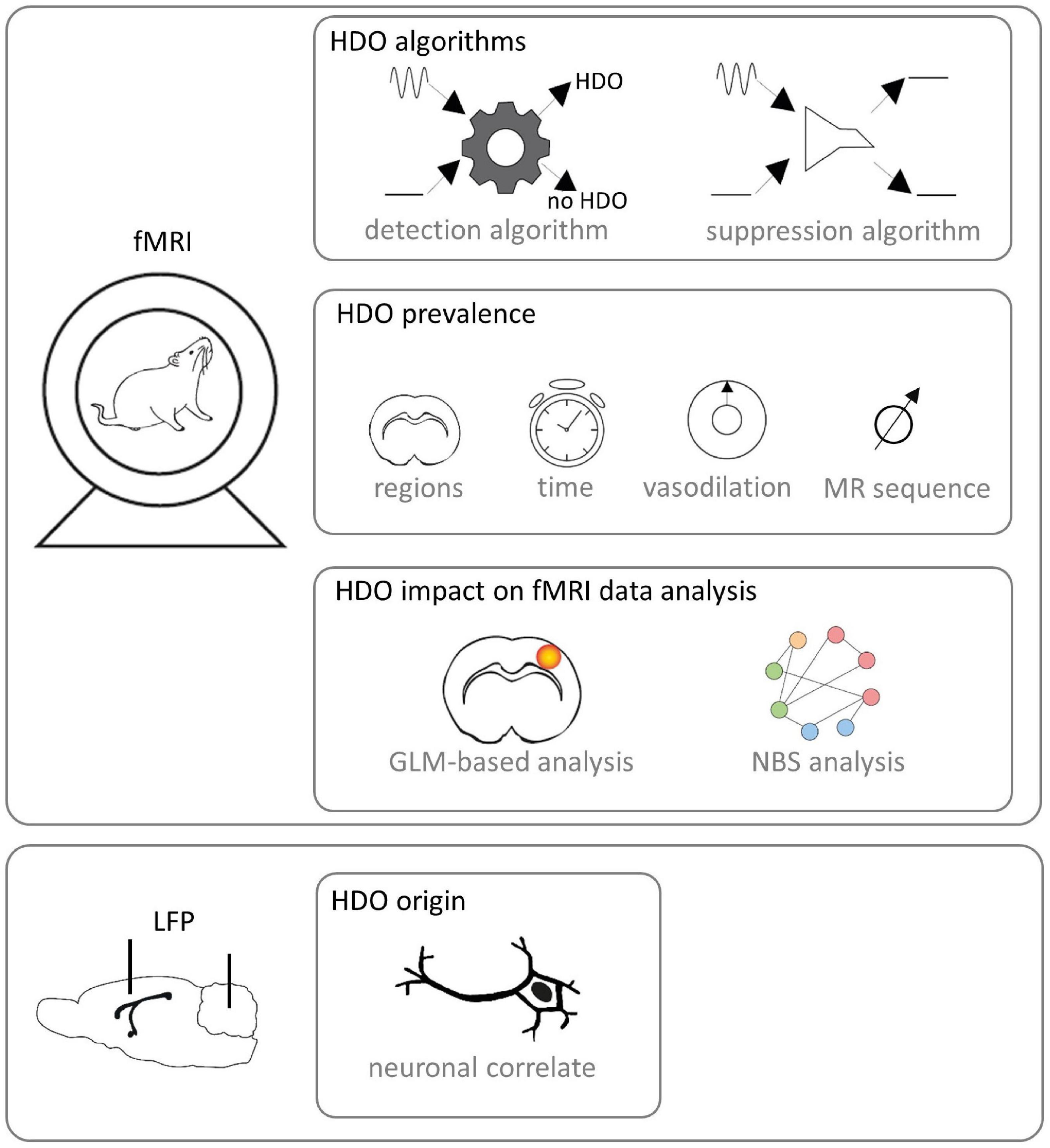 The impact of vasomotion on analysis of rodent fMRI data